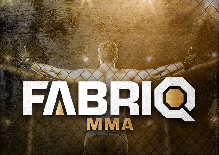 Co to je Fabriq MMA?